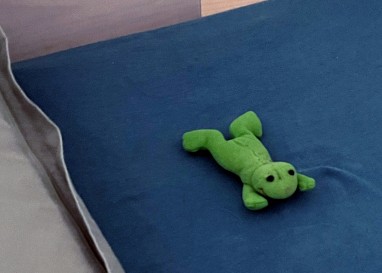 Adventskalender 2025 – Türchen 8: Der wahre Prinz in meinem Bett